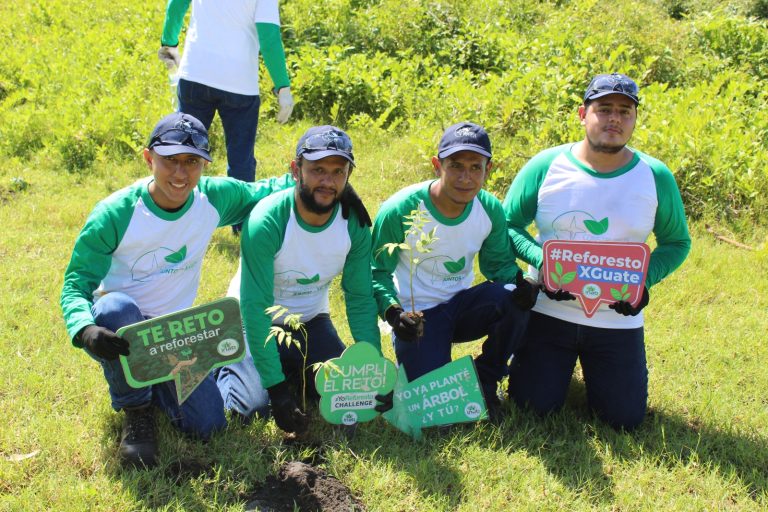 Reforestación Guatemala