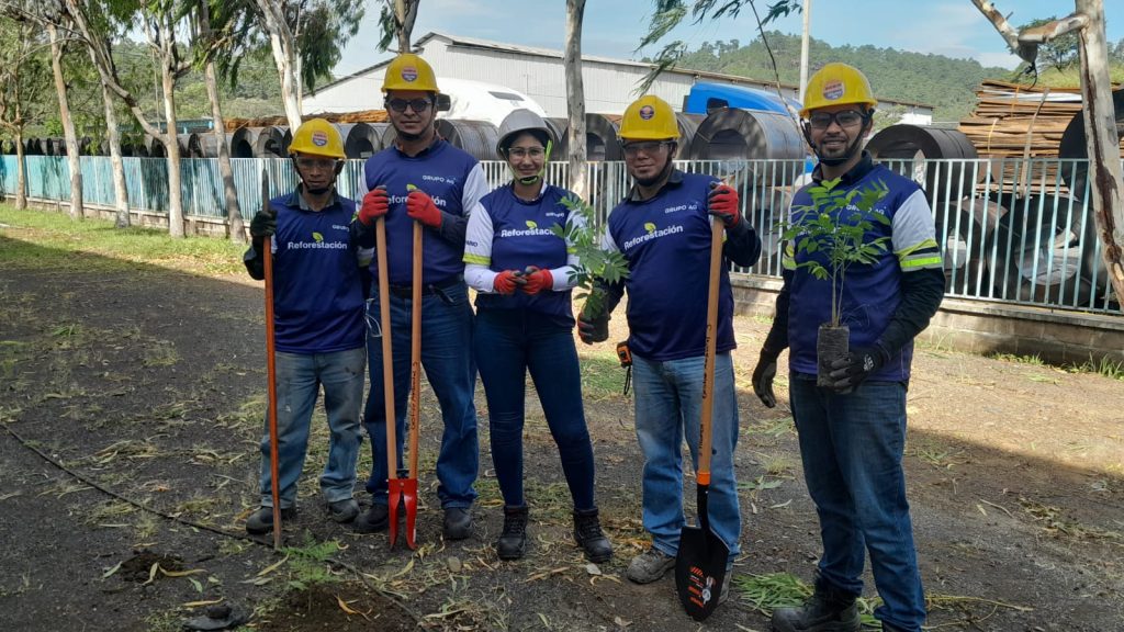 reforestación en TYPSA, Honduras