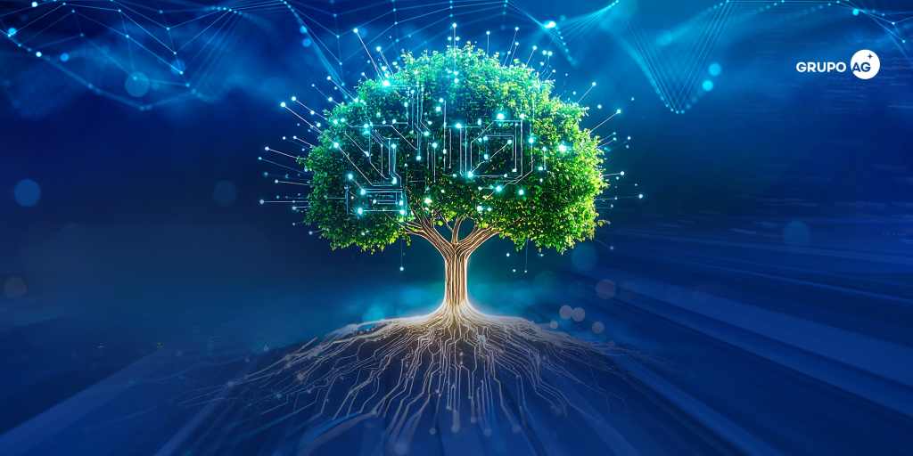Evolución Grupo AG 2025